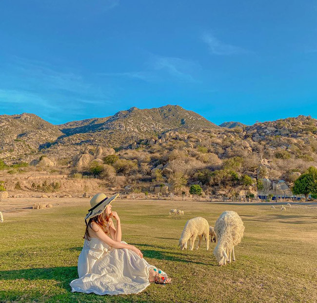 Tour Phan Thiết - Bình Hưng - Ninh Chữ 3N2Đ - Thực Đơn Hấp Dẫn